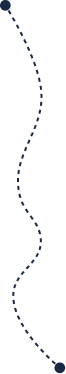 Vector
